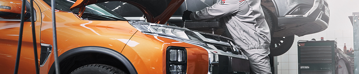 Всесезонная диагностика Mitsubishi за 1000 руб.